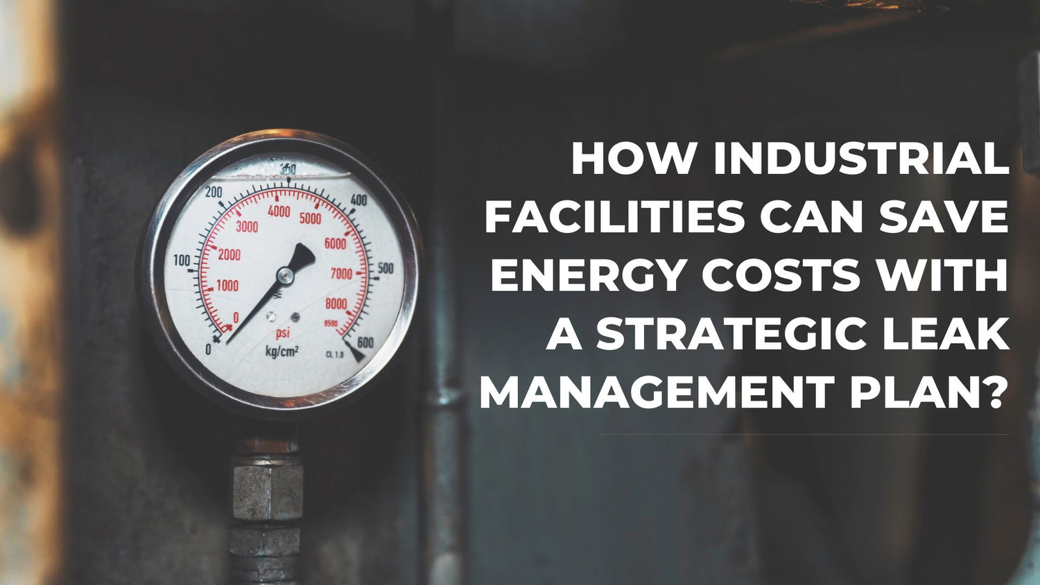 How Industrial Facilities can save on Energy Costs with a Strategic Leak Management Plan?
