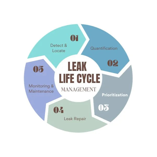 Step3 of Prosaris leak life cycle management : Prioritization