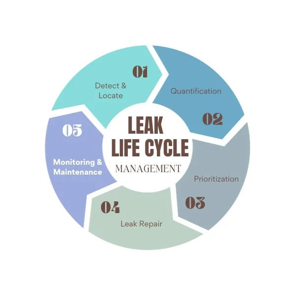 Step 5 of Prosaris leak life cycle management : Monitoring&Maintenance